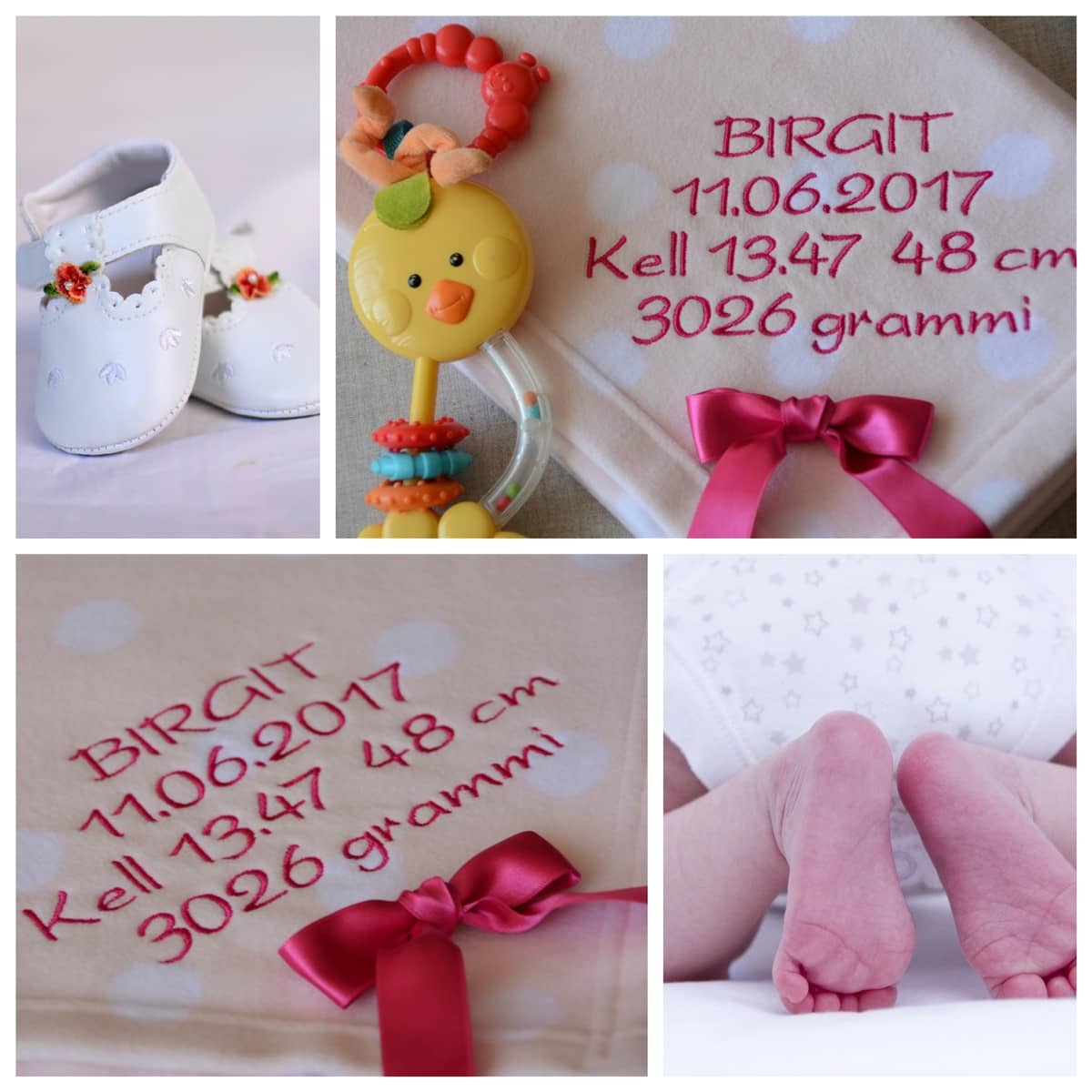 Beebitekk "Birgit" 2 Beebitekk Birgit