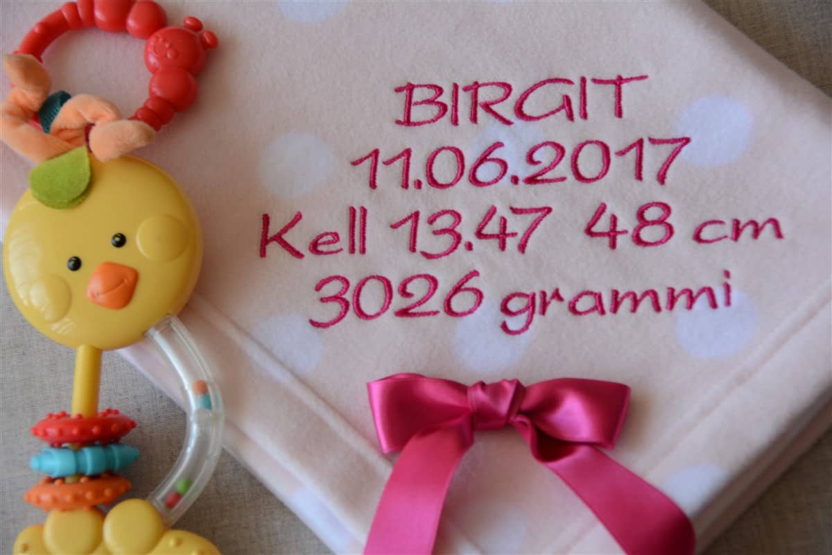 Beebitekk "Birgit" 1 DSC 4868