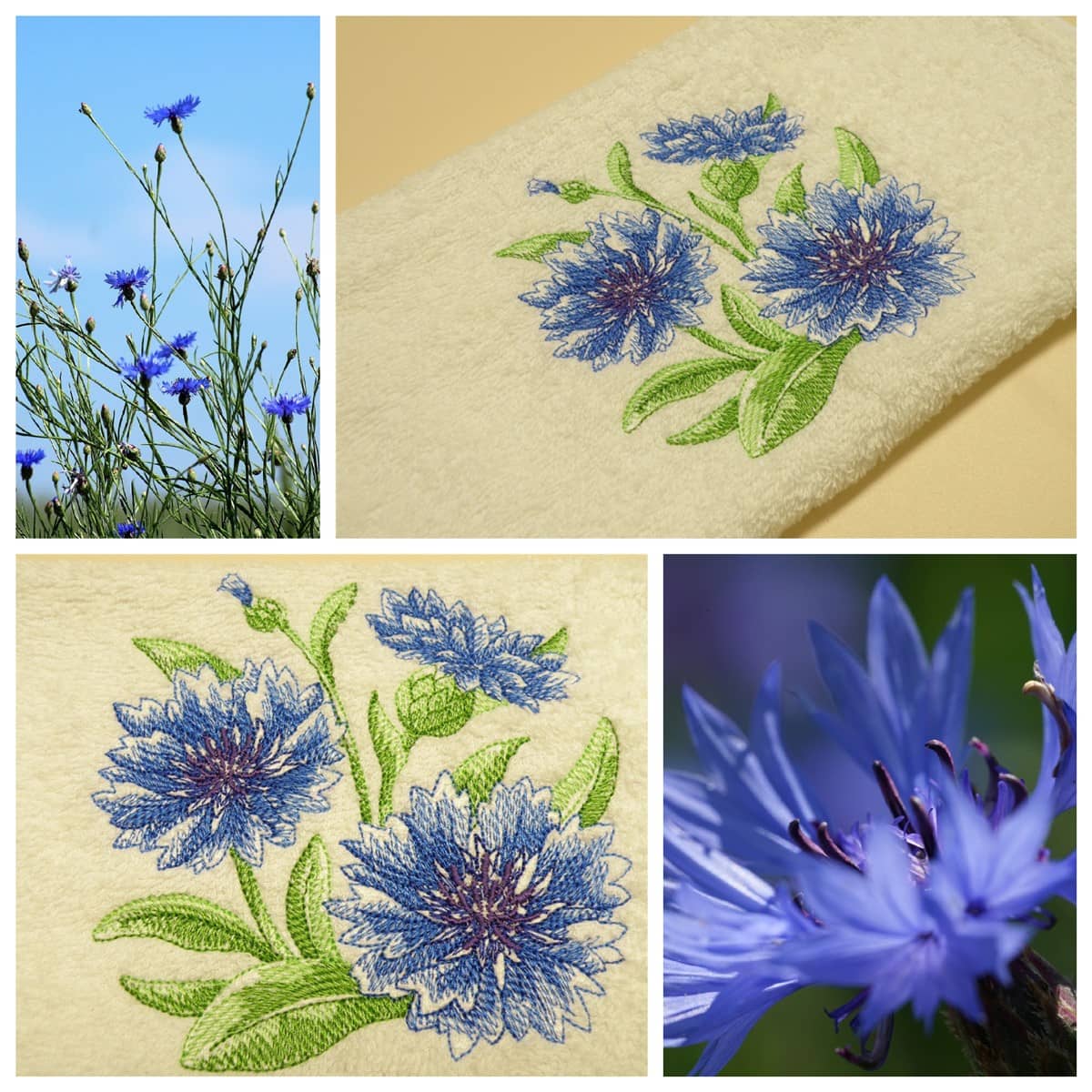 Kateratik Rukkililled 2