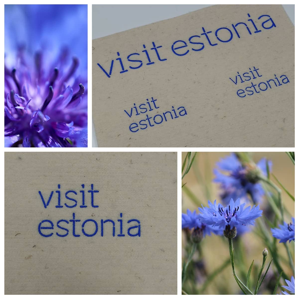 Visit Estonia