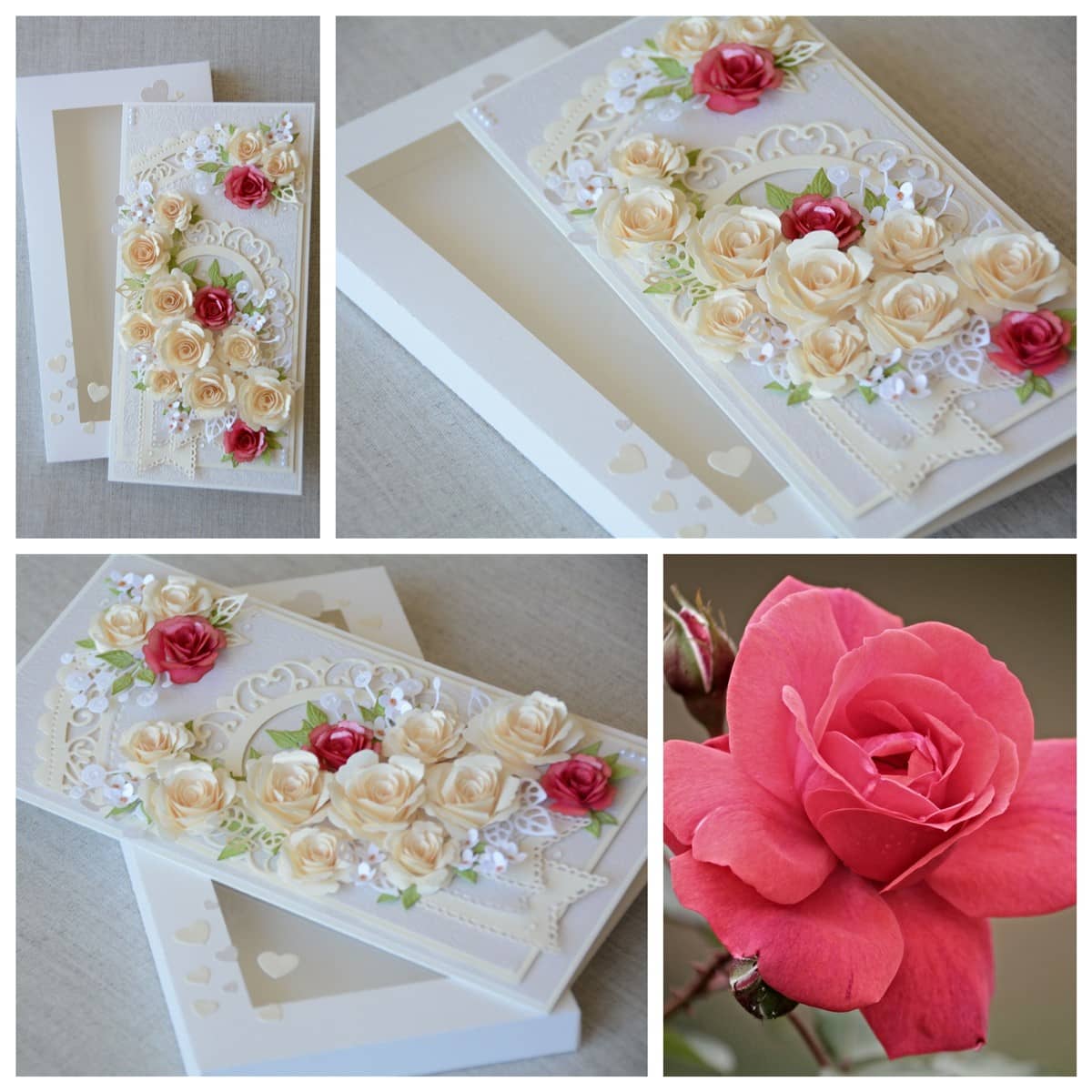 PAL11028 Heledad roosid 1