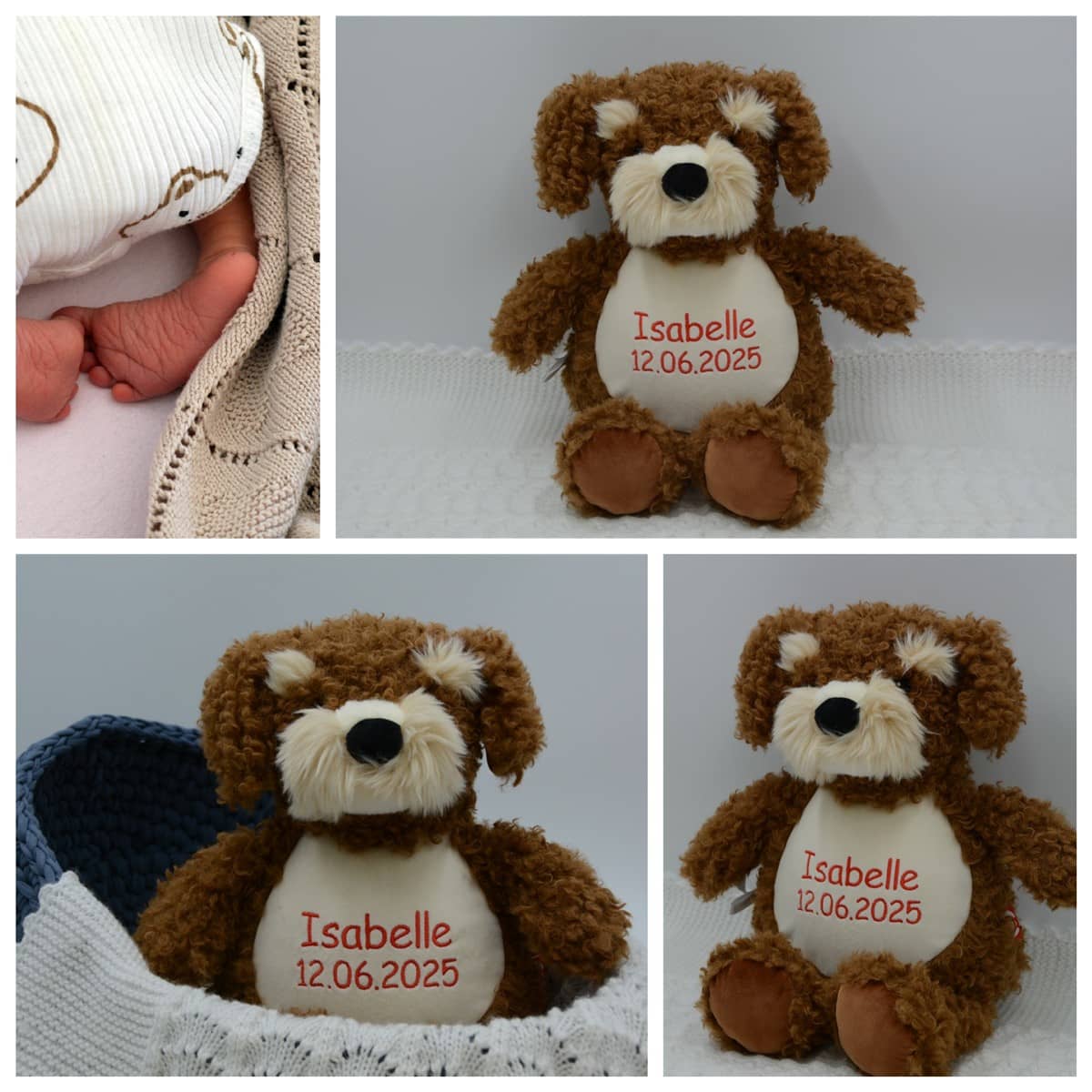 Kaisukoer Puudel 2 Isabelle