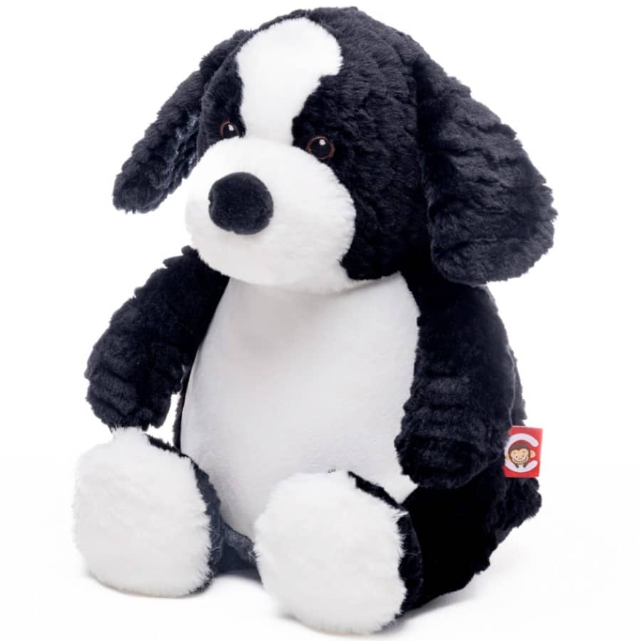 Kaisukoer Bordercollie 2 Kaisukoer Bordercollie - Image 2