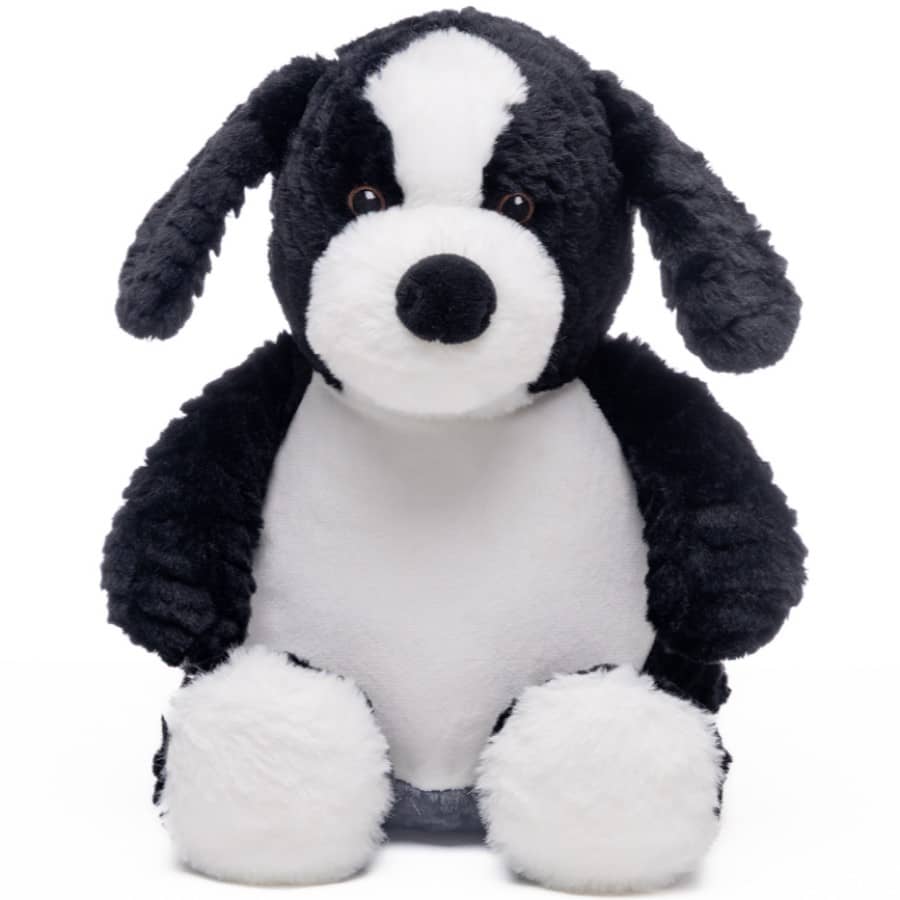 Kaisukoer Bordercollie 1 poisi kingitus